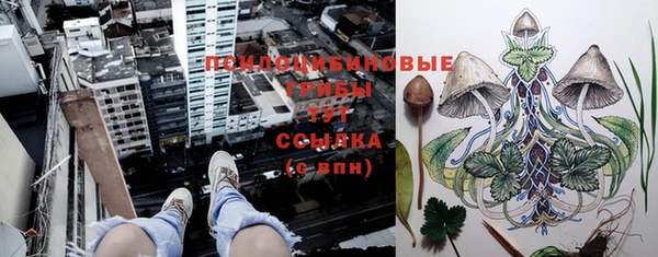 MDMA Premium VHQ Верхнеуральск